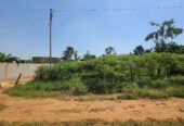 Plot of land 100X100 with private Mailo land title