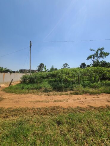 Plot of land 100X100 with private Mailo land title