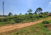 Plot of land 100X100 with private Mailo land title