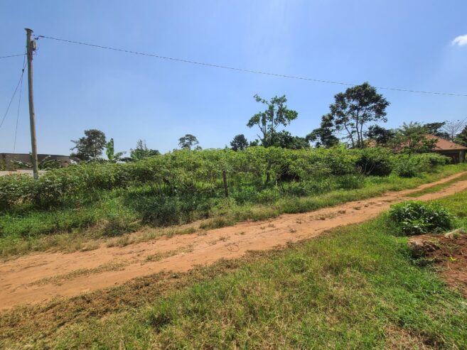 Plot of land 100X100 with private Mailo land title