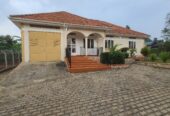 3 bedroomed stand alone house for rent