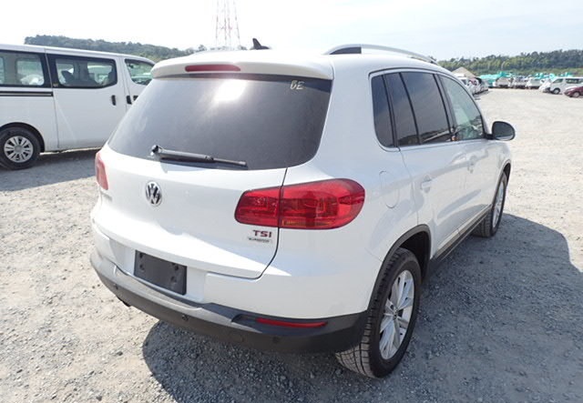 VOLKSWAGEN TIGUAN Year 2013/10