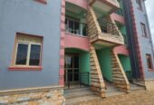 One bedroomed self contained apartments for rent