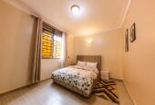 An elegant fully furnished room for rent