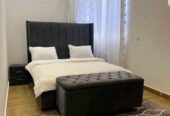 1 bedroom furnished Apartment