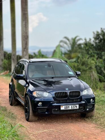 BMW X5 2010