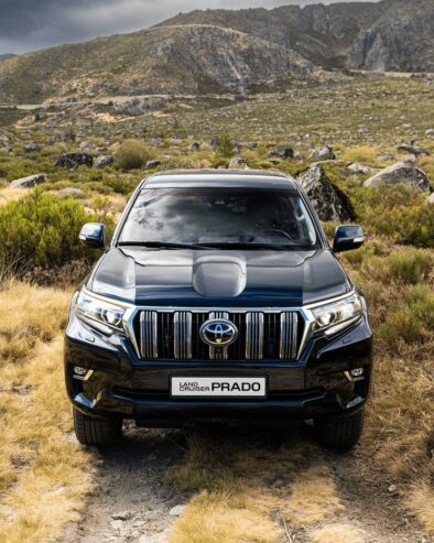 Landcruiser Prado TXs, 2009 to 2023