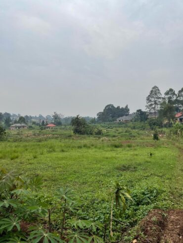 2 plots of land for sale(price for each)