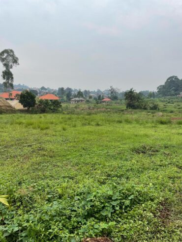 2 plots of land for sale(price for each)