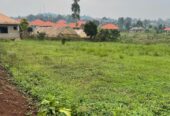 2 plots of land for sale(price for each)