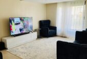 Fully furnished villa for rent